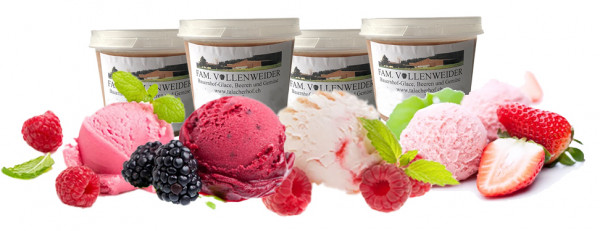 Beerenpower 4 x 120 ml