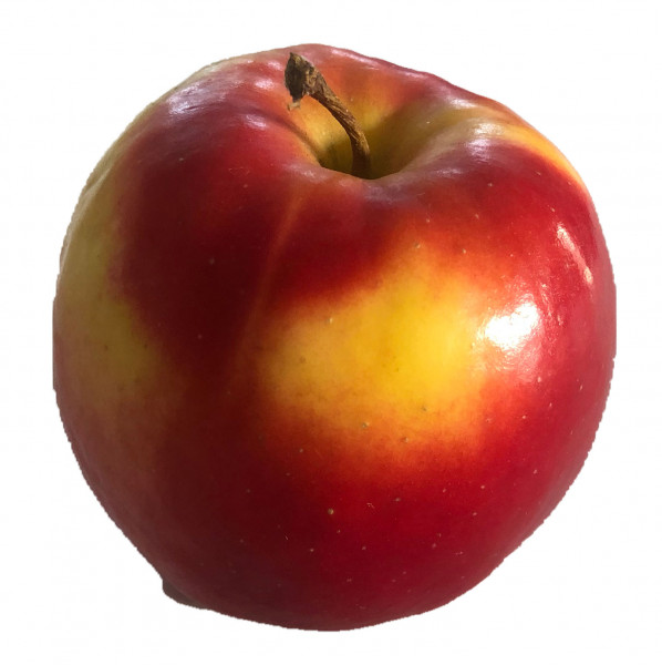 Bonita - Die feuerrote Schönheit