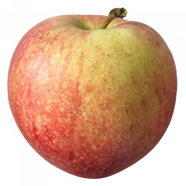 Pinova - Der Herzliche