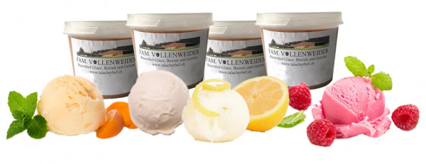 Fruchtbombe 4 x 120 ml