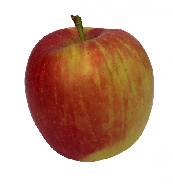 Ambassy / Sweet Tango / Sissired