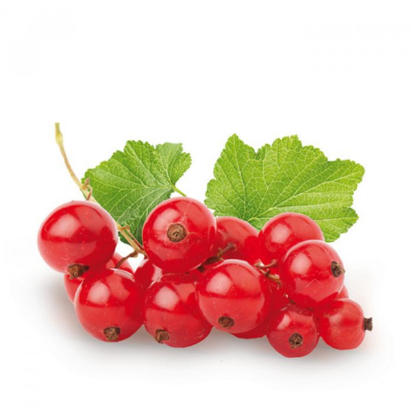 Johannisbeeren rot 500 g