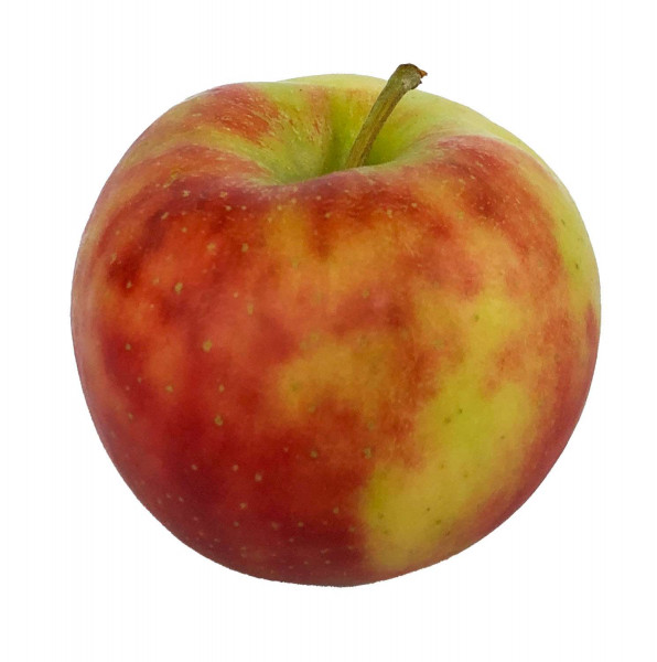 Elstar - Der Aromatische